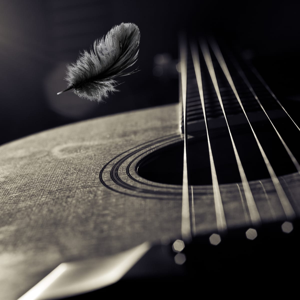 SEPH banner WEB (1920 x 1080 px) (1200 x 1200 px)